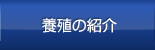 養殖の紹介